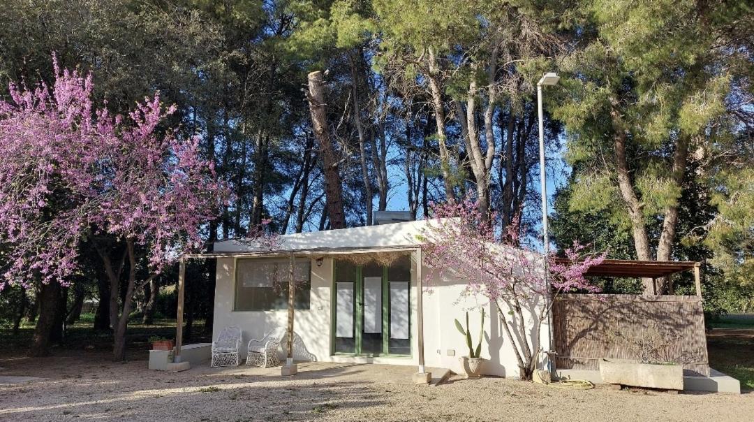 ليتشي B&B Villa I 2 Leoni الغرفة الصورة